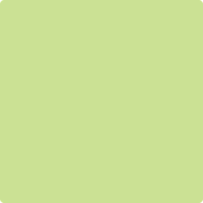 Benjamin Moore's paint color 411 Celtic Folklore
