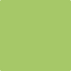 Benjamin Moore's paint color 412 Spring Hill Green