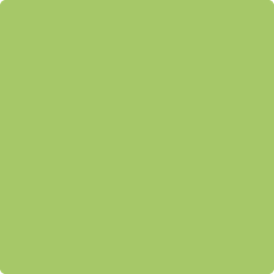 Benjamin Moore's paint color 412 Spring Hill Green