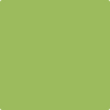 Benjamin Moore's paint color 413 Blooming Grove