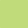 Benjamin Moore's paint color 417 Feel the Energy