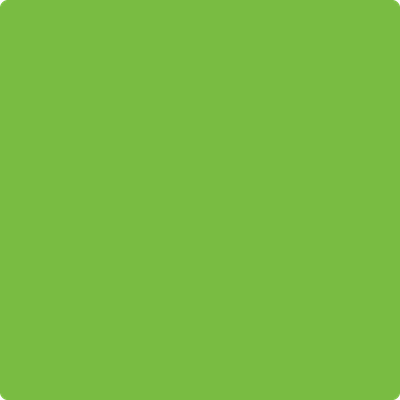 Benjamin Moore's paint color 420 Apple Lime Cocktail