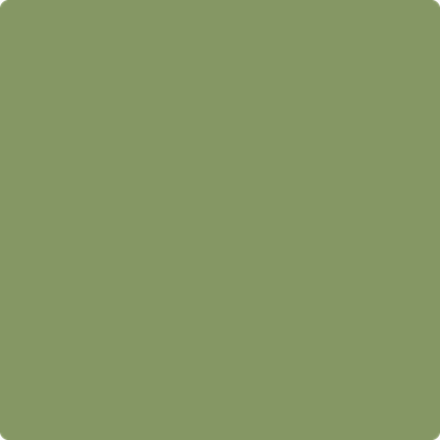 Benjamin Moore's paint color 433 Forest Hills Green