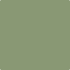 Benjamin Moore's paint color 440 Land of Liberty