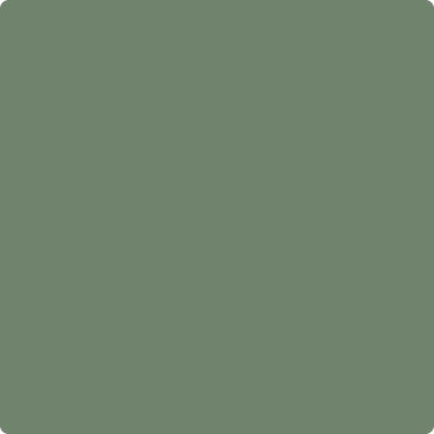 Benjamin Moore's paint color 446 Pinelands