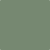 Benjamin Moore's paint color 454 Cedar Path
