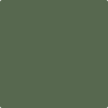 Benjamin Moore's paint color 455 Sweet Basil