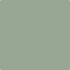 Benjamin Moore's paint color 460 Herb Bouquet