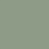 Benjamin Moore's paint color 467 High Park