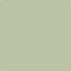 Benjamin Moore's paint color 480 Lily Pad