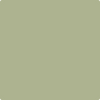 Benjamin Moore's paint color 481 Dill Weed