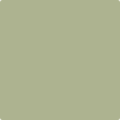 Benjamin Moore's paint color 481 Dill Weed