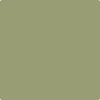 Benjamin Moore's paint color 482 Misted Fern