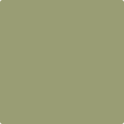 Benjamin Moore's paint color 482 Misted Fern