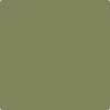 Benjamin Moore's paint color 483 Home on the Range