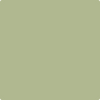 Benjamin Moore's paint color 487 Liberty Park