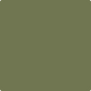 Benjamin Moore's paint color 490 Pine Brook