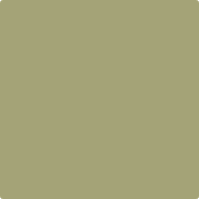Benjamin Moore's paint color 495 Hillside Green