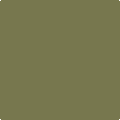 Benjamin Moore's paint color 497 Shady Lane