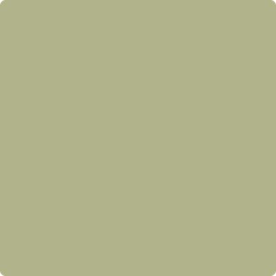 Benjamin Moore's paint color 502 Grasslands