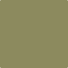 Benjamin Moore's paint color 504 Nature's Reflection