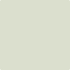 Benjamin Moore's paint color 505 Hint of Mint