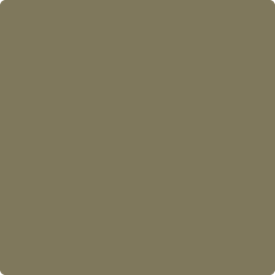 Benjamin Moore's paint color 511 Pine Grove