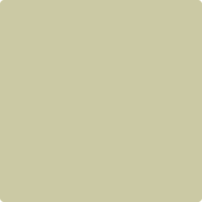 Benjamin Moore's paint color 522 Dried Parsley