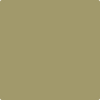 Benjamin Moore's paint color 524 Hiking Path
