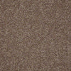 Essay II 15' Residential Carpet