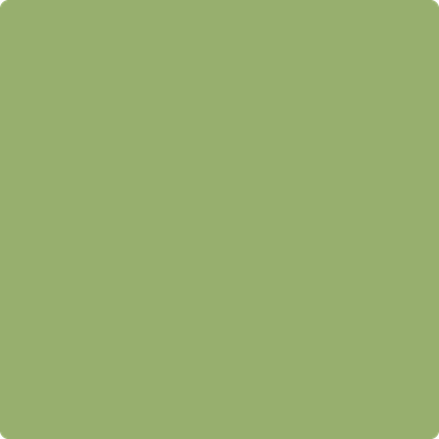 Benjamin Moore's paint color 544 Kiwi