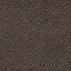 Swizzle Commercial Carpet