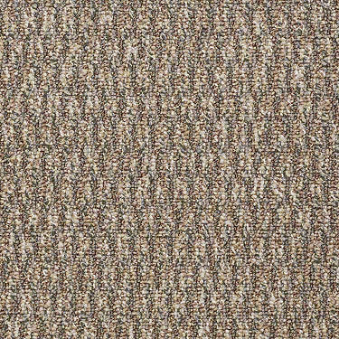 Speak Freely Commercial Carpet