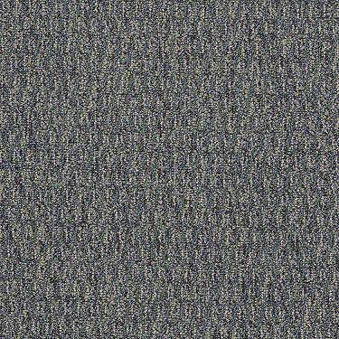 Speak Freely Commercial Carpet