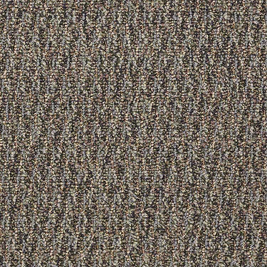 Speak Freely Commercial Carpet