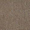 Chatterbox Commercial Carpet