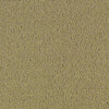 Color Accents Commercial Carpet