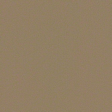 Color Accents Commercial Carpet