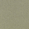 Color Accents Commercial Carpet