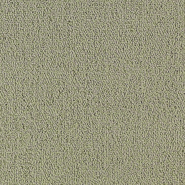 Color Accents Commercial Carpet