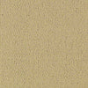 Color Accents Commercial Carpet