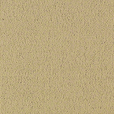Color Accents Commercial Carpet