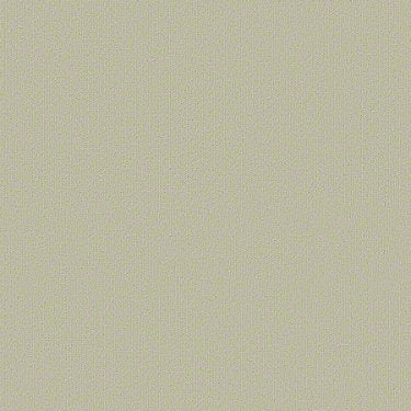 Color Accents Commercial Carpet