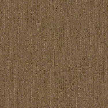 Color Accents Commercial Carpet