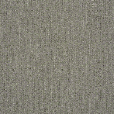 Color Accents Commercial Carpet