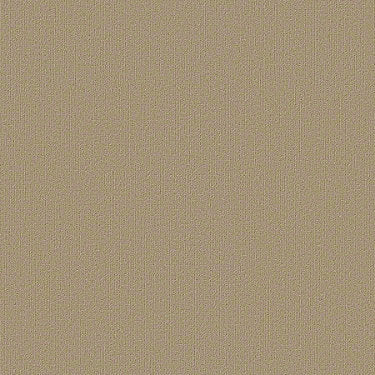 Color Accents Commercial Carpet