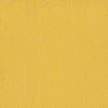 Color Accents Commercial Carpet