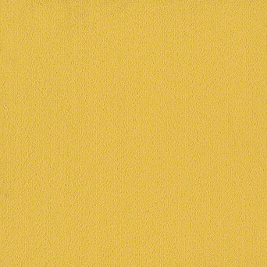 Color Accents Commercial Carpet