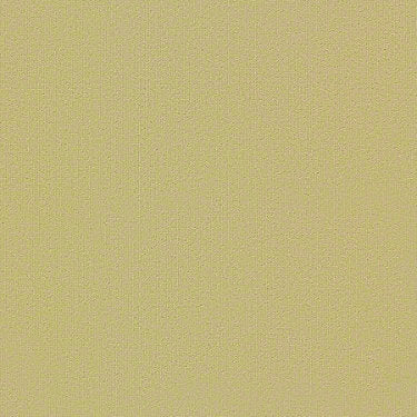 Color Accents Commercial Carpet