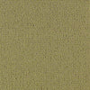 Color Accents Commercial Carpet